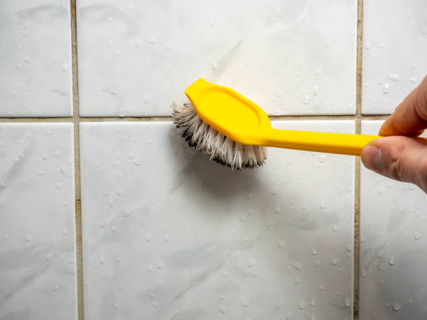 Best Mold Remediation  in Palermo, NJ