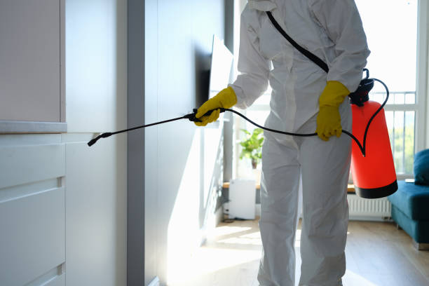Best Toxic Mold Removal  in Palermo, NJ